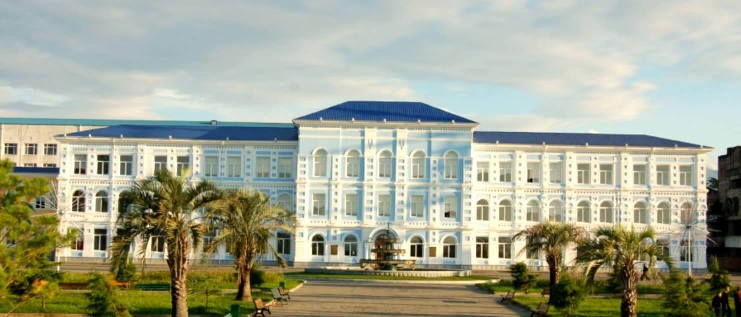 Georgian University